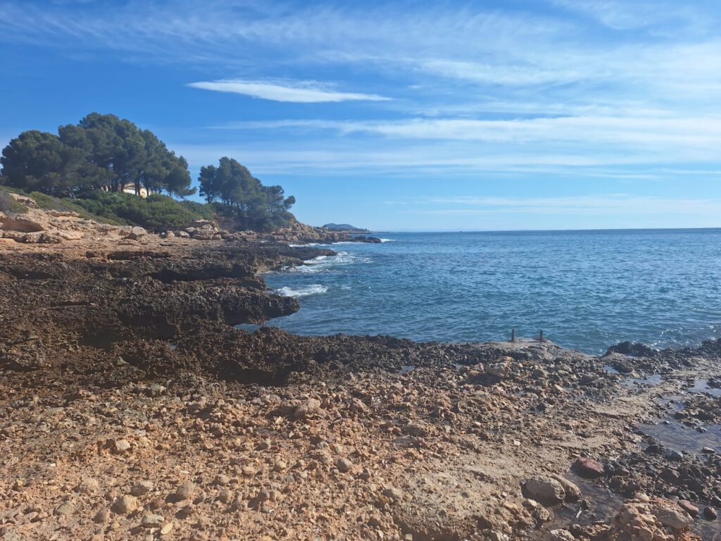 img 20240423 wa0006